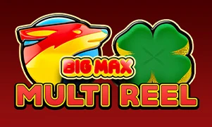 Big Max Multi Reel